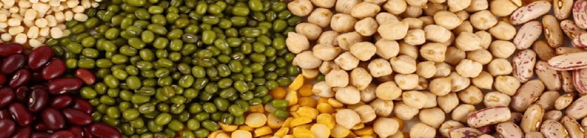 Pulses